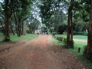 Image of Road to Junior House